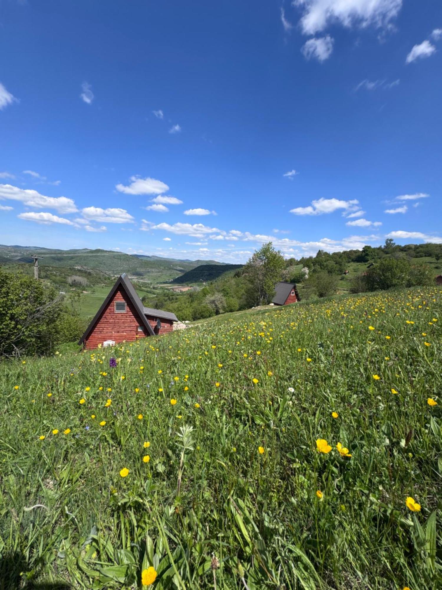 Uvacki Raj Villa Radijevici Екстериор снимка